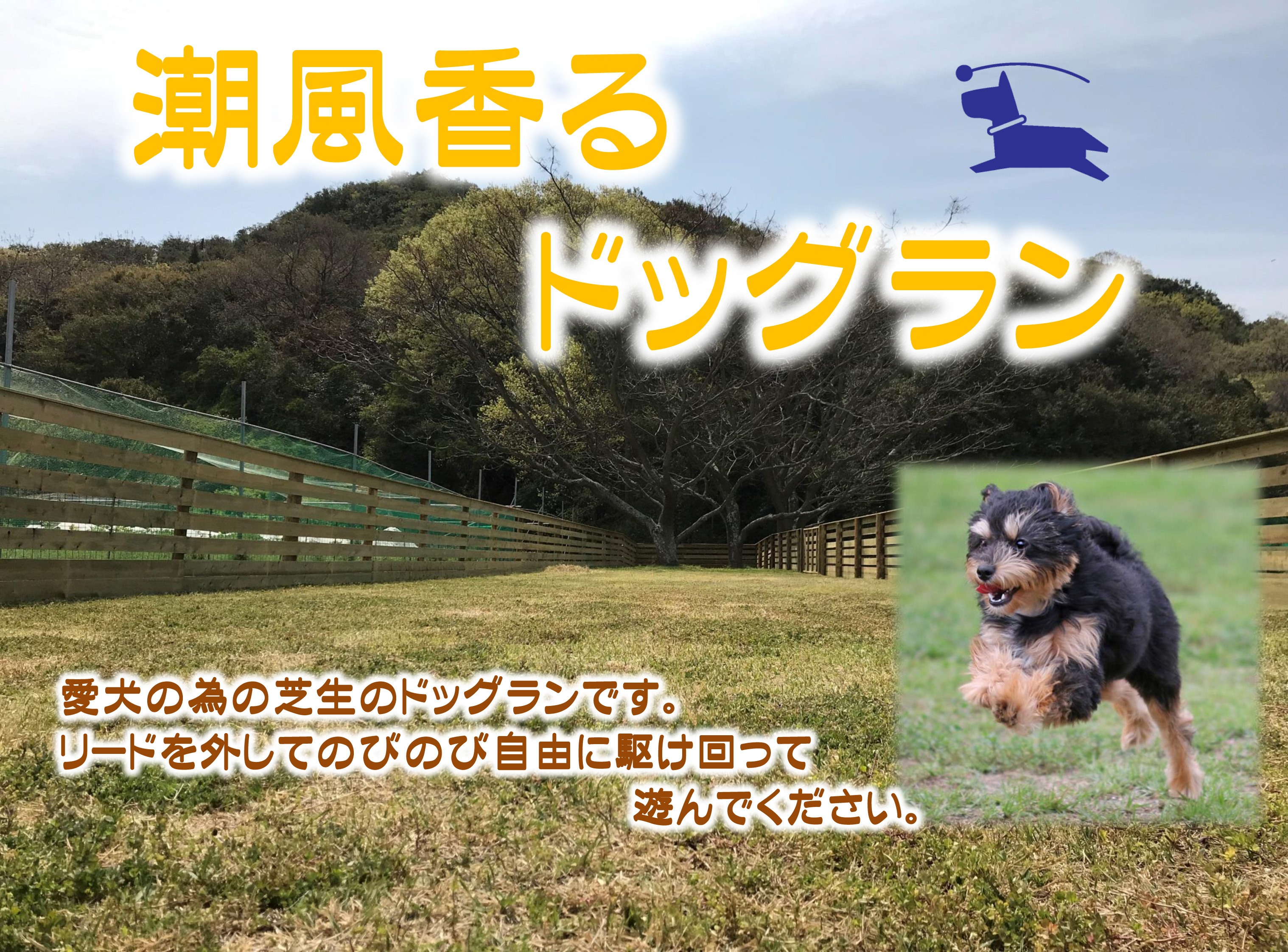 愛犬のための芝生のドッグランです。リードを外してのびのび自由に駆け回って遊んでください。