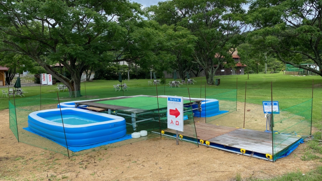 ちびっこプール（4m×2m）プール新登場‼ - シーパーク大浜